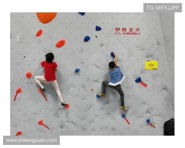 上海攀岩队个人能力深度剖析与训练方法探讨 上海攀岩队个人能力深度剖析与训练方法探讨