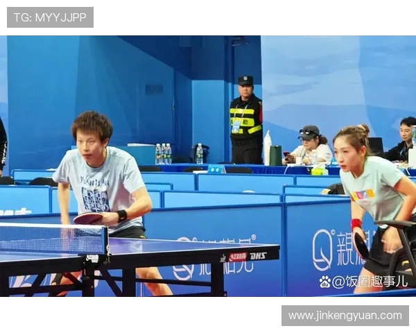 乒乓球盛宴：深入解析杭州乒乓球队的默契配合与战术策略