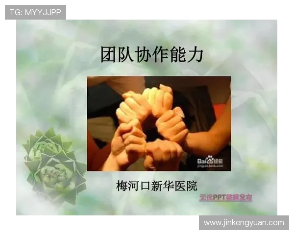 南京乒乓球队的团队协作之道:凝聚力与默契的完美结合 南京乒乓球队的团队协作之道:凝聚力与默契的完美结合