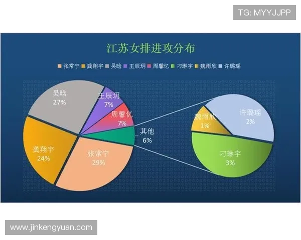 杭州排球队个人能力深度对比分析揭示球队潜力与发展方向 杭州排球队个人能力深度对比分析揭示球队潜力与发展方向