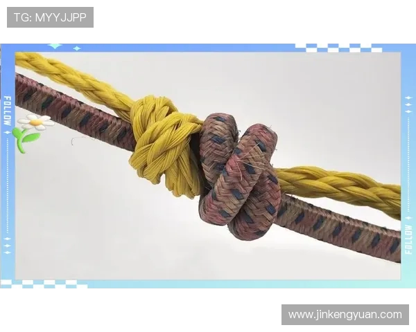 深入探讨上海攀岩队技术表现的数据分析与提升策略