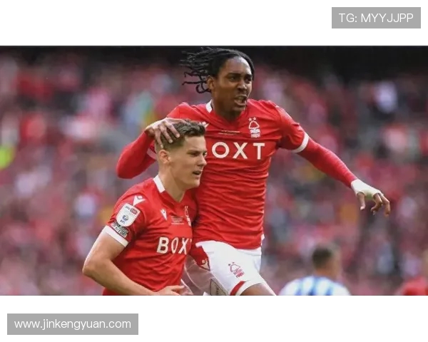 斯旺西对阵诺丁汉精彩直播回顾与赛后分析全方位解读 斯旺西对阵诺丁汉精彩直播回顾与赛后分析全方位解读