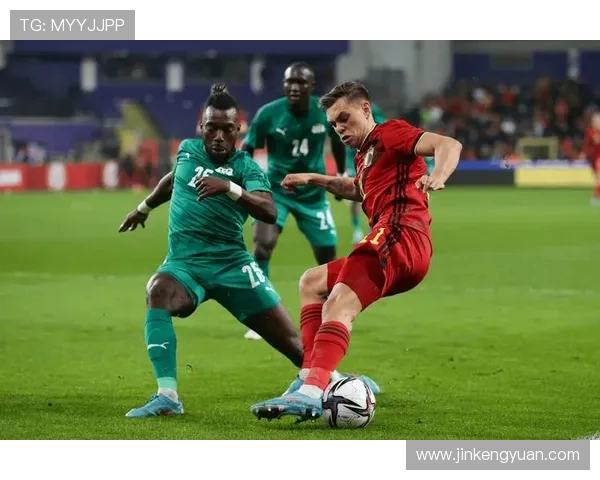 比利时与爱尔兰对决分析球队状态战术布局及球员表现全解析