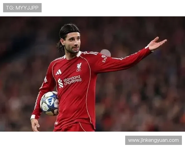 索博斯洛伊的魅力探秘与历史文化价值的深度剖析