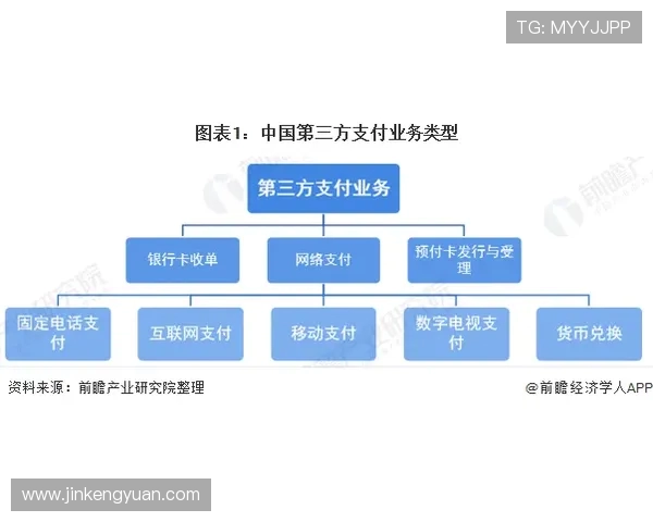 上海极限运动队如何通过创新运营模式实现全面升级与发展