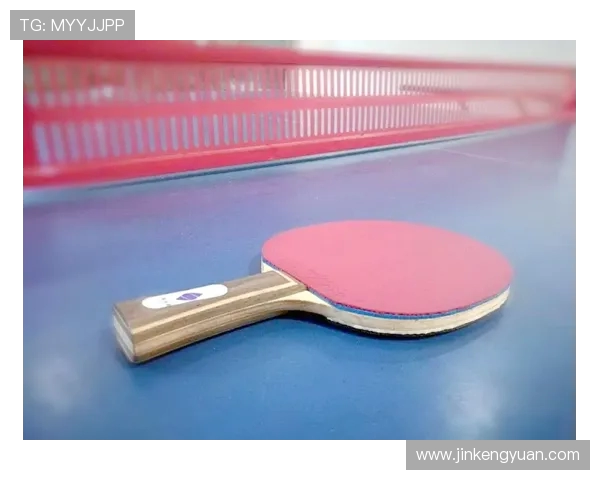 乒乓球装备选购指南及训练器材推荐助你提升竞技水平