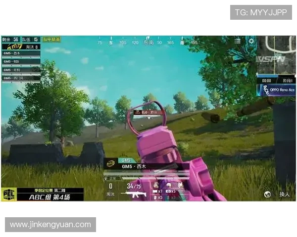 和平精英战术解析：TES战队防反体系的深度剖析与实战应用