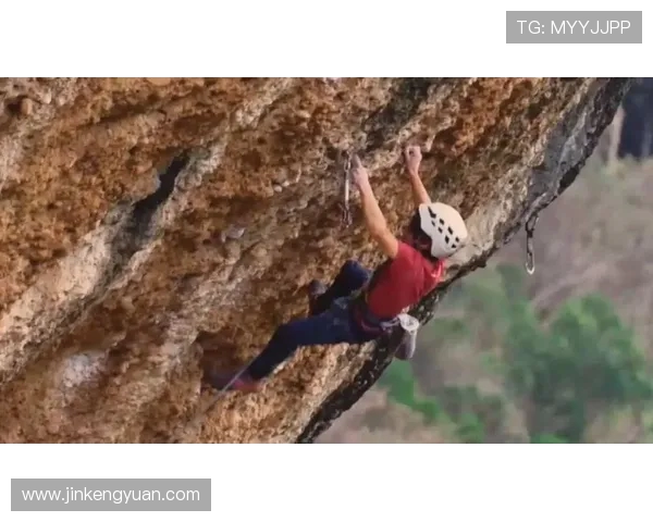 杭州攀岩队荣获全国攀岩团队协作排行榜第三名的佳绩